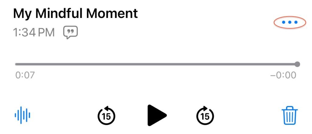 A screenshot example of a My Mindful Moment recording